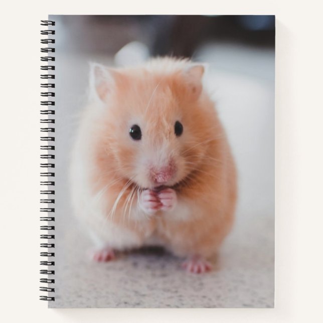 Cute Hamster Love Animals Notebook (Front)