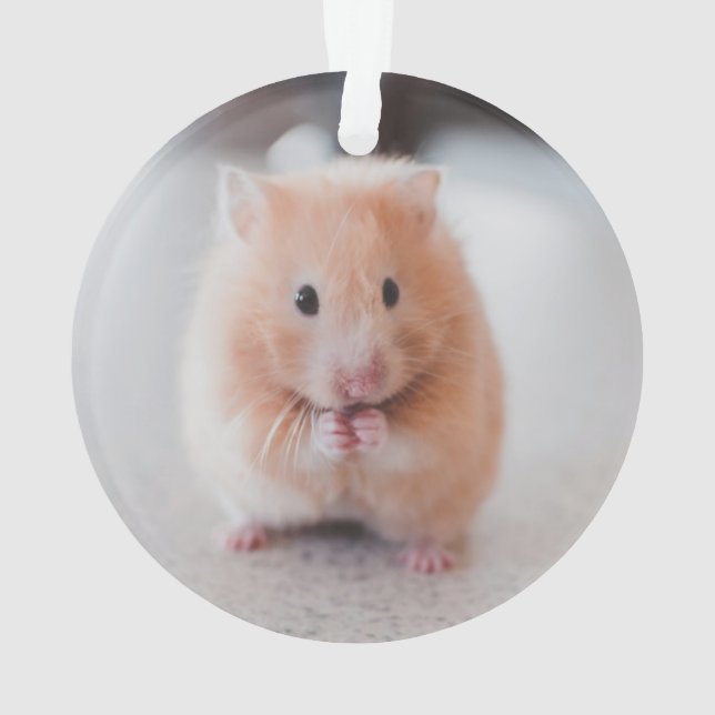 Cute Hamster Love Animals Ornament (Back)