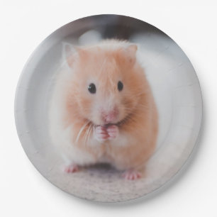 Cute Hamster Love Animals Paper Plate