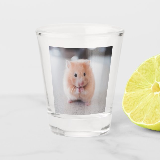 Cute Hamster Love Animals Shot Glass (Front)