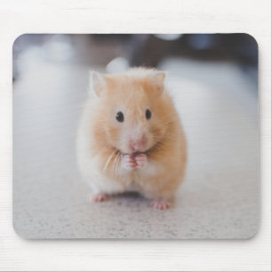 Cute hamster mouse pad