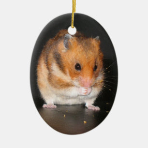 Cute Hamster ornament