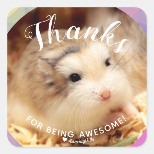 Cute Hamster Thanks for Being Awesome Square Sticker