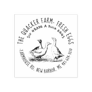 Cute Hand Drawn Illustration Local Duck Egg Carton Rubber Stamp