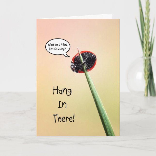 Cute Hang In There Ladybug Card (Front)