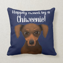 Cute Happily Owned Chiweenie | Chihuahua Dachshund