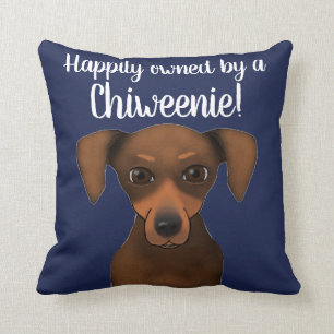 Cute Happily Owned Chiweenie   Chihuahua Dachshund Cushion