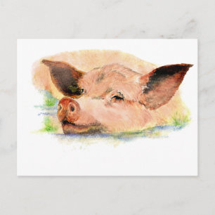 Cute Happy as a  Pig in Mud, Farm Animal, Humour Postcard