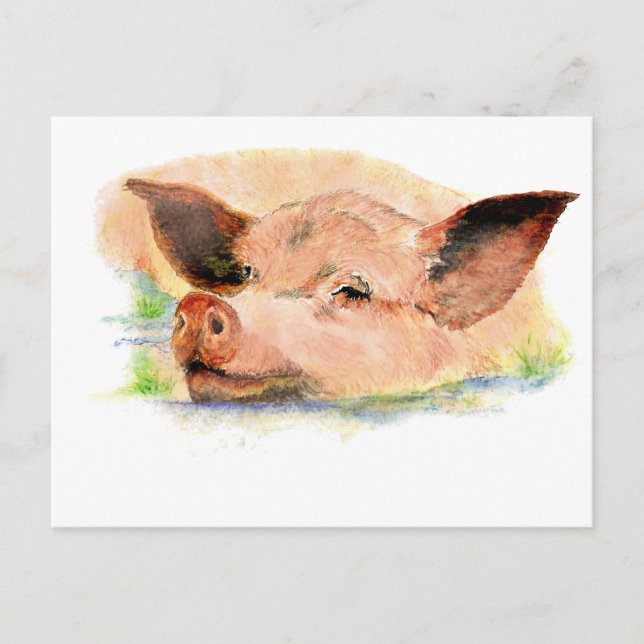 Cute Happy as a  Pig in Mud, Farm Animal, Humour Postcard (Front)
