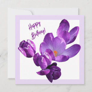 Cute Happy birthday pretty purple crocus floral Card