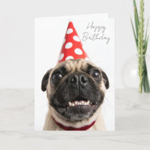 Cute Happy Birthday Pug in Red Party Hat