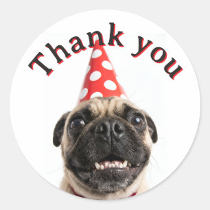 Cute Happy Birthday Pug in Red Party Hat Classic Round Sticker