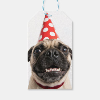 Cute Happy Birthday Pug in Red Party Hat Gift Tags