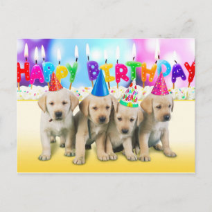Cute Happy birthday puppies Postcard