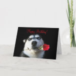 Cute Happy Birthday to my Brother in Law Card<br><div class="desc">This is a darling way to say Happy Birthday to your Brother in Law and let him know that he is your favourite!  A cute Husky Dog with a rose makes this an irresistible card!</div>