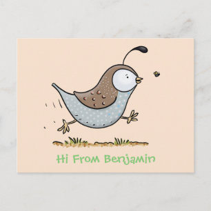 Cute happy californian quail cartoon illustration postcard