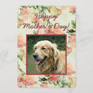  Cute Happy Mothers or Fathers Day Dog Photo Card