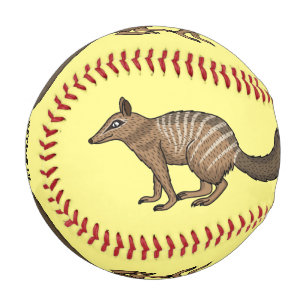 Cute happy numbat cartoon illustration baseball