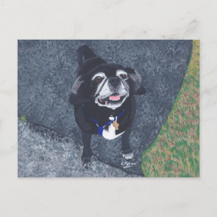 Cute Happy Pug Face Dog Painting Postcards