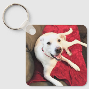 Cute Happy Smiling White Puppy Dog Red Key Ring