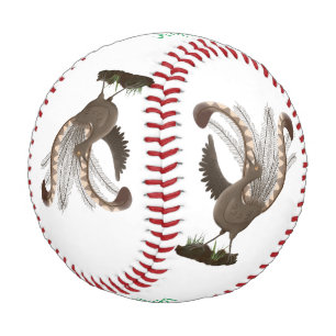 Cute happy superb lyrebird cartoon illustration baseball