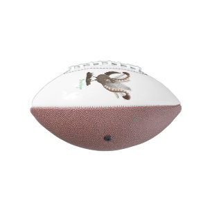 Cute happy superb lyrebird cartoon illustration football
