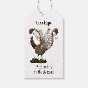 Cute happy superb lyrebird cartoon illustration gift tags