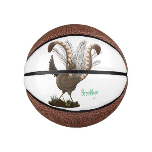 Cute happy superb lyrebird cartoon illustration mini basketball