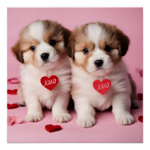 Cute Happy Valentine's Day Puppies  Poster