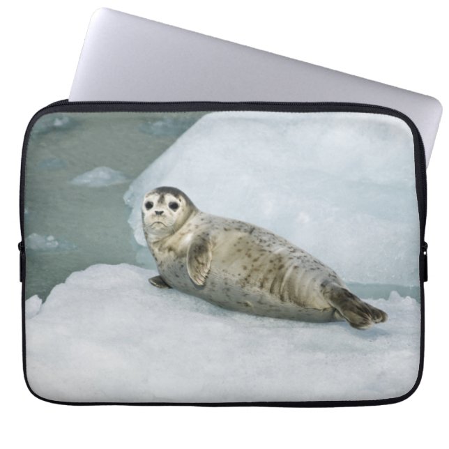 Cute Harbour Seal on Snow Laptop Sleeve (Front)