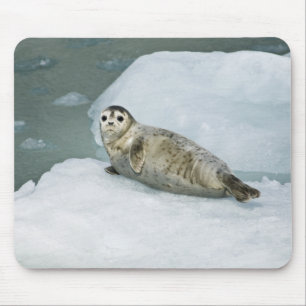 Cute Harbour Seal on Snow Mouse Pad