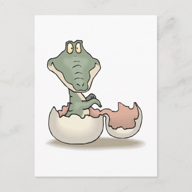 cute hatching baby alligator postcard (Front)