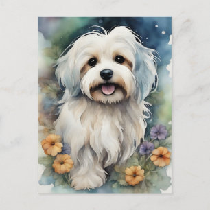 Cute Havanese Dog in Watercolor  Postcard
