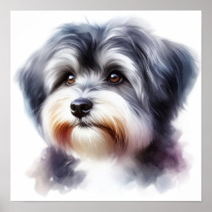 Cute Havanese Dog Portrait in Watercolor Poster