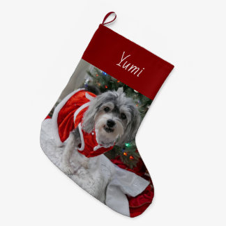 Cute Havanese Large Christmas Stocking