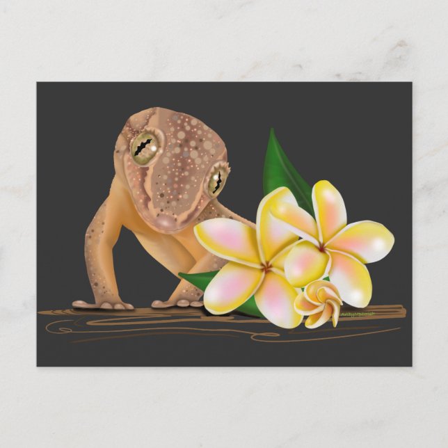 Cute Hawaii Gecko  Postcard (Front)