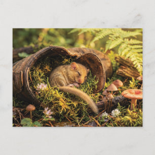 Cute Hazel Dormouse Sleeping Inside a Leather Boot Holiday Postcard