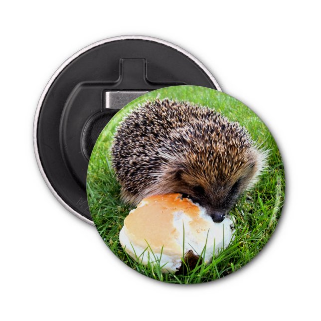 CUTE HEDGEHOG BOTTLE OPENER (Front)