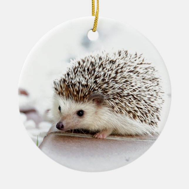 Cute Hedgehog Ceramic Tree Decoration (Front)
