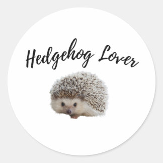 Cute Hedgehog  Classic Round Sticker