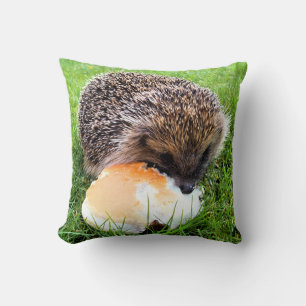 CUTE HEDGEHOG CUSHION