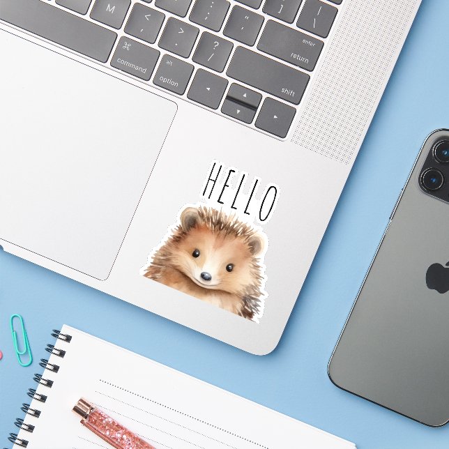 Cute Hedgehog custom text (Laptop w/ iPhone)