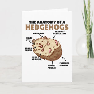 Cute Hedgehog Explanation Anatomy Of A Hedgehogs Card