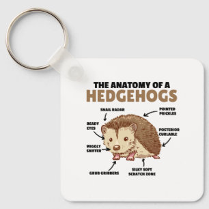 Cute Hedgehog Explanation Anatomy Of A Hedgehogs Key Ring