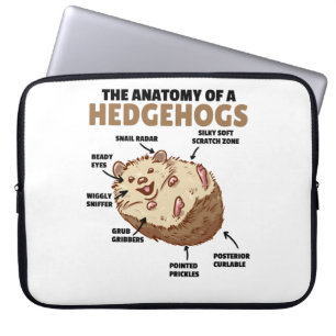 Cute Hedgehog Explanation Anatomy Of A Hedgehogs Laptop Sleeve