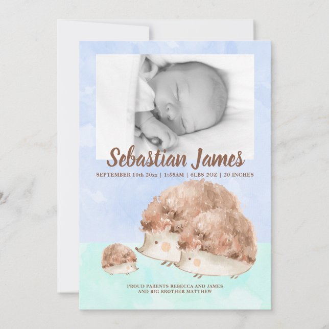 Cute Hedgehog Family New Baby Photo Personalised Announcement (Front)