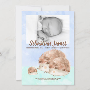 Cute Hedgehog Family New Baby Photo Personalised Announcement