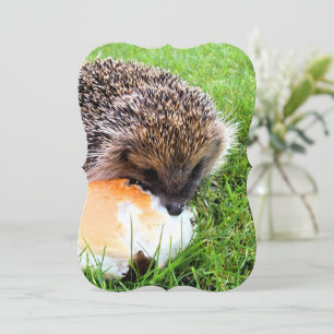 CUTE HEDGEHOG Invitation
