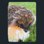 CUTE HEDGEHOG iPad PRO COVER<br><div class="desc">A cute little hedgehog enjoying a rather large meal!</div>