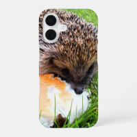 CUTE HEDGEHOG